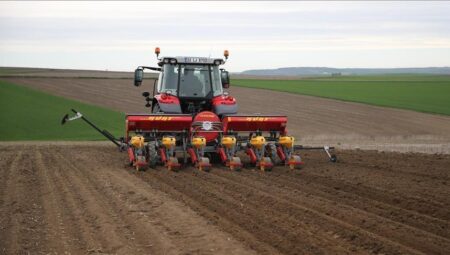 Ayçiçeğinde farklı ekim usulleri test edildi