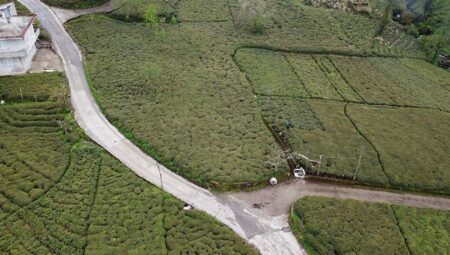 Zirai don çayı da etkiledi!