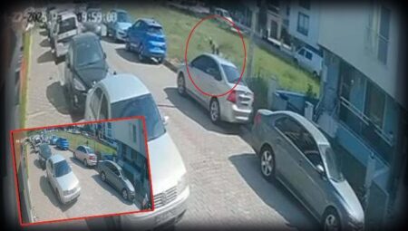 Aydın’da 17 yaşındaki çocuk kabusu yaşadı! Köpeklerden kaçmak isterken otomobile çarptı