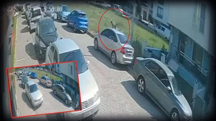 Aydın’da 17 yaşındaki çocuk kabusu yaşadı! Köpeklerden kaçmak isterken otomobile çarptı