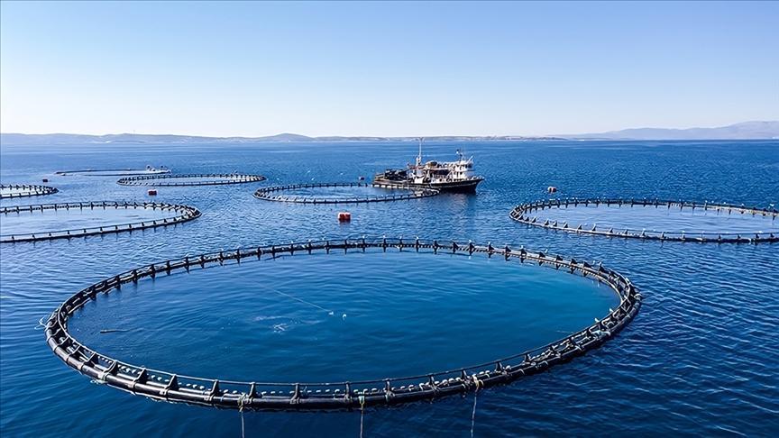 Karadeniz Bölgesi’nin su eserleri ihracatı 62 milyon doları aştı