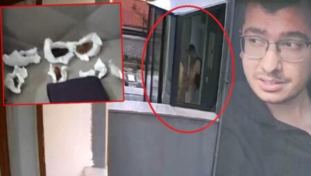 Köpekleri parçalayan hekimin konutundan çıkanlar şoke etti! Hepsini tek tek paketlemiş