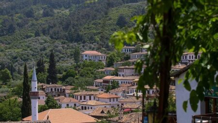 Köyde tüketim ihtilali tez konusu oldu