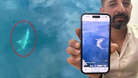 Oltaya geldi! Denizin ortasında şoke eden 45 dakika: Başımıza birinci sefer geliyor