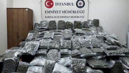 Petshopa şok baskın! Tam 50 milyon lira pahasında