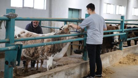 Taş duvar ahırda başlamıştı! Devlet dayanağıyla çağdaş tesis kurdu!