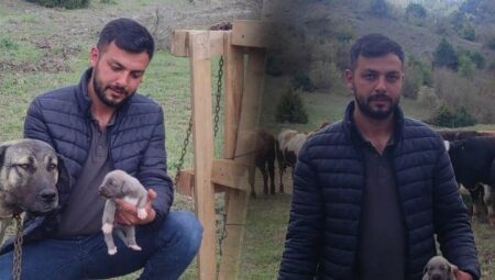 10 saniyelik manzarası internete düştü, Türkiye’de linç yedi! Gerçek apayrı çıktı