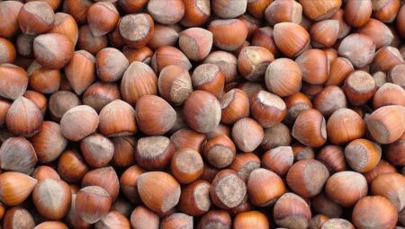 Fındık ihracatından 852 milyon dolarlık gelir