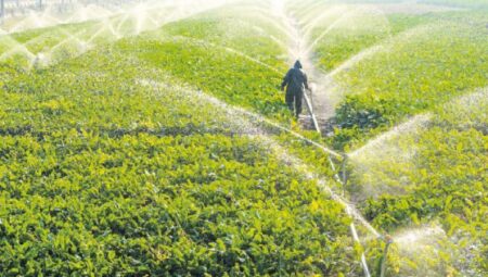 Suda ödül ceza sistemi