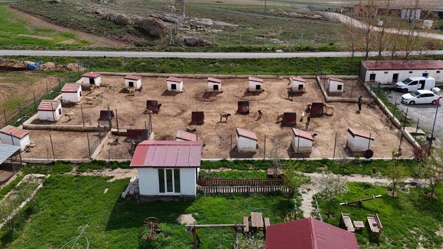Dünyada eşi gibisi yok! Ünü ülke sonlarını aştı: Suudi Arabistan, Katar, BAE peşinde…