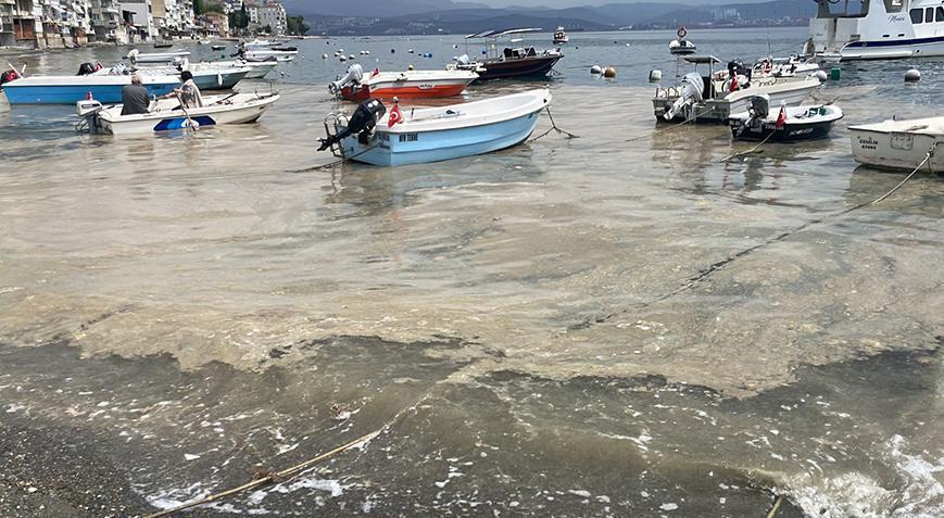 Kabus geri mi dönüyor? Marmara Denizi’nde korkutan imaj