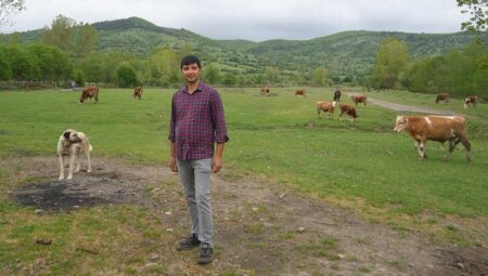 Kent hayatından bıktı, hayvancılığa başladı