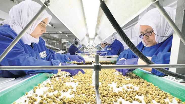 500 büyük şirketin 111’i besin işliyor
