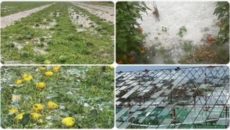 Antalya’da sağanak eserlere ziyan verdi
