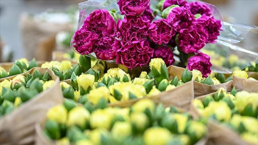 Çiçek bölümü, ihracatı artırmak için dünyayı dolaşıyor