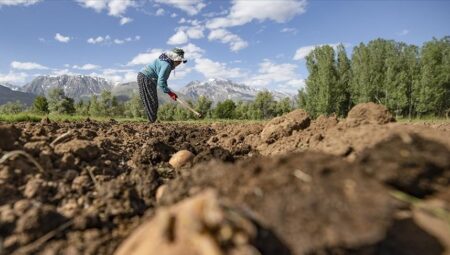 Çiftçilere 3,3 milyar lira dayanak ödemesi bugün yapılacak
