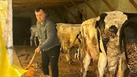 Devlet dayanağıyla gelen muvaffakiyet: 5 büyükbaş hayvanı 86’ya çıkardı