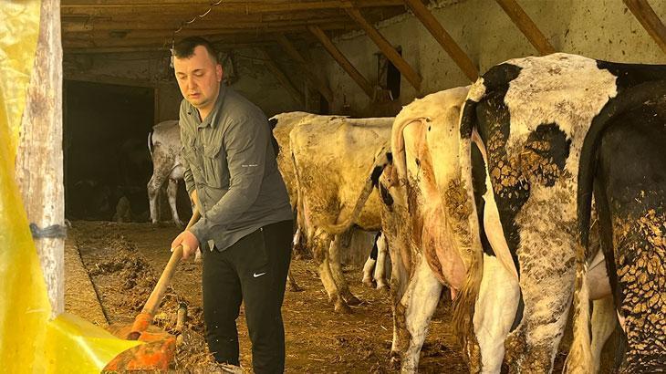 Devlet dayanağıyla gelen muvaffakiyet: 5 büyükbaş hayvanı 86’ya çıkardı