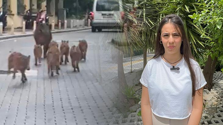 Marmaris’i istila ettiler: Kent karantinaya alınabilir, giriş çıkışlar kapatılabilir