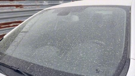 Meteoroloji uyarmıştı! İstanbul’a çamur yağdı